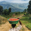 Uganda Rwenzori Kasese Natural