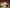 BFLA: Bold Flavor Low Acid