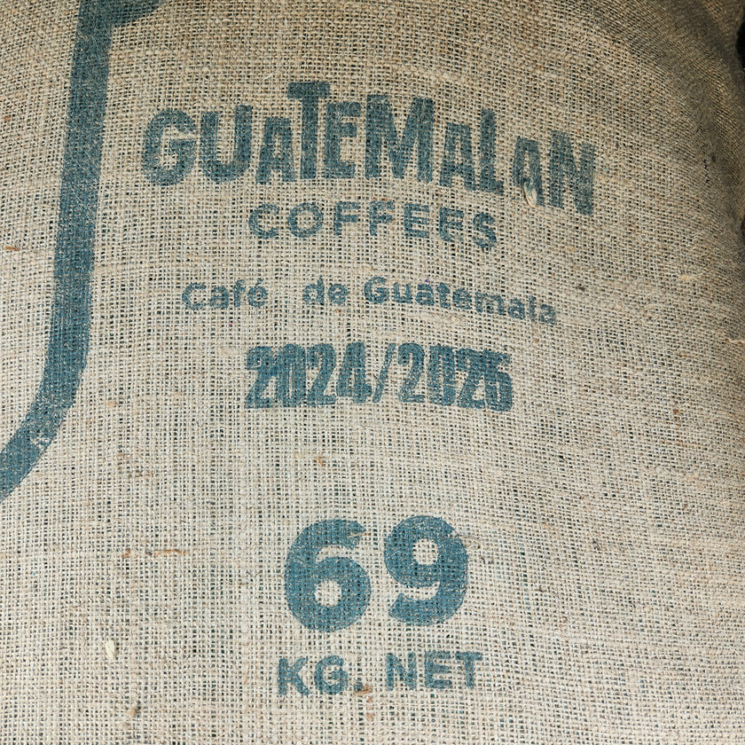 Guatemala Finca Pampojila Single Estate