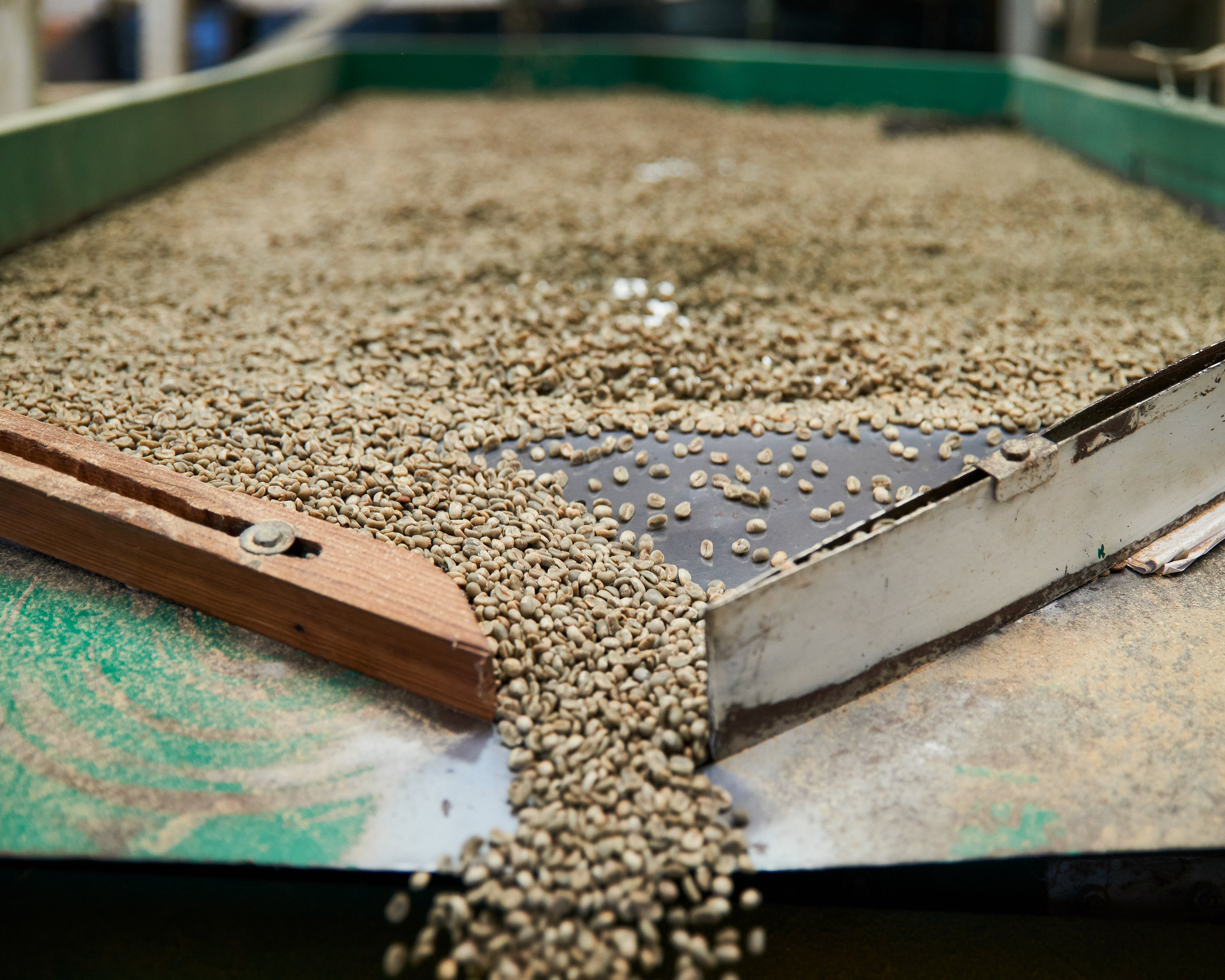 Organic Mexico Chiapas